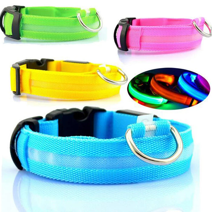 Pet LED Collar