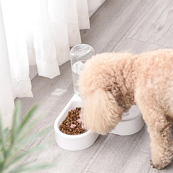 Automatic Pet Feeder